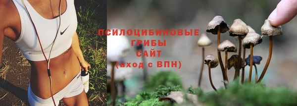 соль ск Алексин