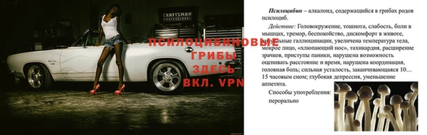 спайс Алексеевка