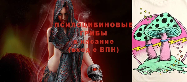 соль ск Алексин