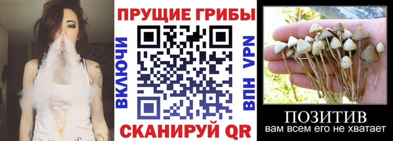 наркошоп  Саянск  Псилоцибиновые грибы MAGIC MUSHROOMS 