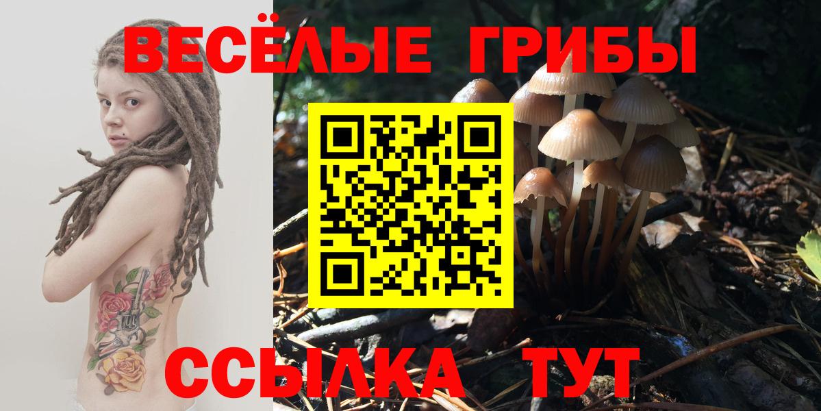 Галлюциногенные грибы Psilocybe  где можно купить наркотик  Саянск  Галлюциногенные грибы мицелий  Вход с VPN 